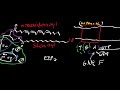 biosignaling phospholipase c ip3 dag u0026 ca2