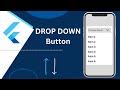 Flutter DropdownButton Widget