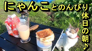 メスティンで朝食ホットサンドを作ってみた！　～にゃんこもいるよ♪～