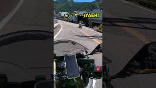 ヤエー３連続w普通に考えたら凄くない#shorts #ヤエー #バイクツーリング #motovlog