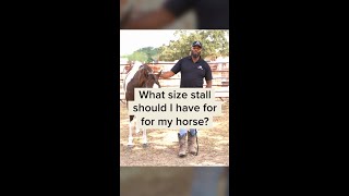 What Size Stall Should I Have for my Horse?