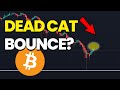 Bitcoin Dead Cat Bounce Warning and More Crypto Regulations!