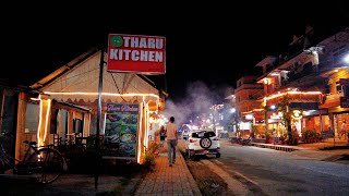 Nightlife in Sauraha Chitwan | Jungle Safari Wild Animals Tour in Nepal |  Touristic Cities in Nepal