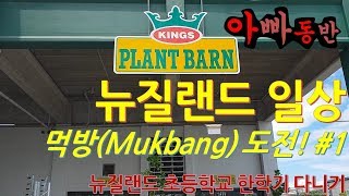 [아빠동반] 뉴질랜드에서 먹방 한번찍어볼까요? Gardening 하는 Kings Plant Barn 카페에 가봤어요