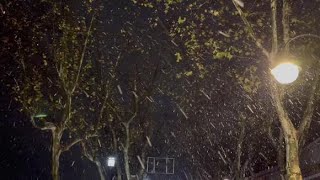 终于等来杭州第一场雪，半夜跑到西湖来看雪，好多人呀