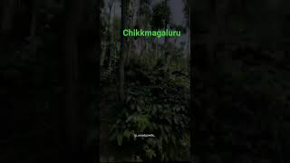 chikkamagaluru ನಾನು malnad