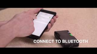 Chord Electronics  - Poly Lessons 6  Bluetooth playback