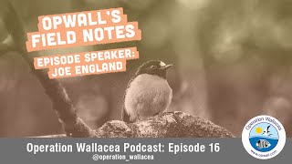 Opwall Field Notes Podcast: Entry 16 - Joe England