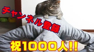 ★祝★チャンネル登録者数1000人突破！