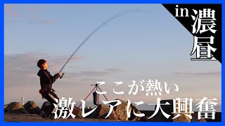 レア魚が溜まってる漁港。in濃昼漁港