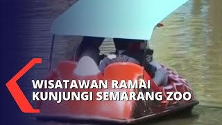 Libur Idul Adha, Wisatawan Ramai Kunjungi Semarang Zoo