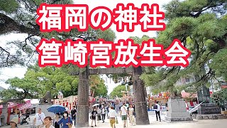 福岡筥崎宮「放生会」2023　賑わいの様子　Hakozaki Shrine Hojoya