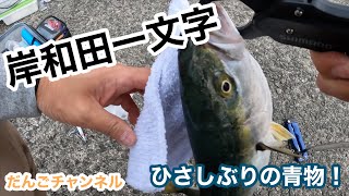 【釣行】岸和田一文字 青物釣行