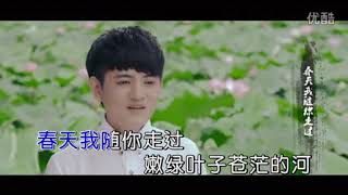 张天龙【四季荷塘】原版MV~KTV字幕