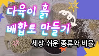 다육이 흙 만들기, 다육이 흙배합 어떻게 할까요~? 세상 쉬운 종류와 비율, 흙 부자재 구매 후기