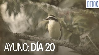 Eres una Voz o un Eco | Ayuno 2025 | Dia 20