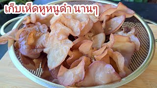 เก็บเห็ดหูหนูดำ ไว้ทานนานๆ 1 ปี ยังสดอร่อย |แค่เลchannel