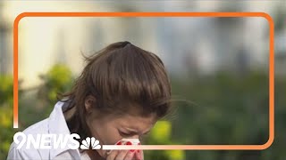 Medical expert shares tips to manage spring allergies
