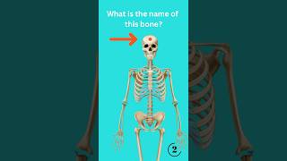 What is the Name of this Bone on Top of the Body? #anatomy #humanbody