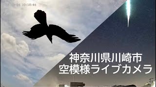 【2025/02/08 夜】 神奈川県川崎市　天気・空模様ライブカメラ