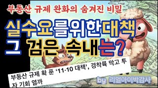 [리얼아이박감사]부동산규제완화의숨겨진비밀- 실수요를 위한 대책- 그 검은 속내는?