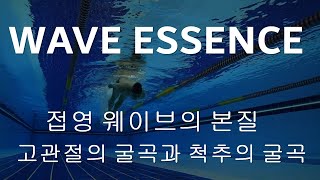 WAVE ESSENCE 접영 웨이브의 본질 고관절의 굴곡과 척추의 굴곡