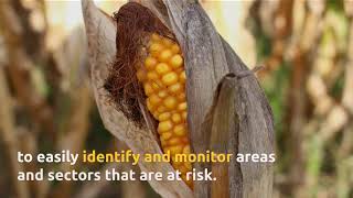 Drought Assessment - in English
