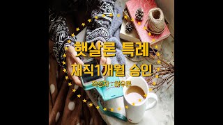 햇살론특례 승인 사례 보면서 이해해 보아요(재직 2개월 편)