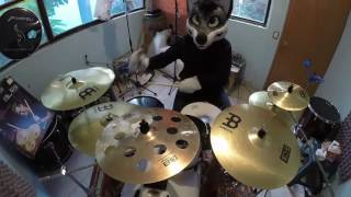 furry drumming