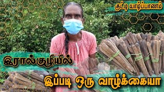 திருகோணமலையின் குட்டி யாழ்ப்பானம்.. kutty jaffna | பனங்கிழங்கு வேட்டை | Tamil vlog | panang kilangu