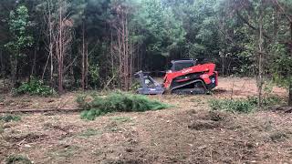 Kubota SVL95 with Loftness disc mulcher clearing pine thicket.