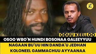 Osoo WBO'n hundi bosonaa galeeyyuu nagaan bu'uu hin danda'u jedhan Koloneel Gammachuu Ayyaanaa