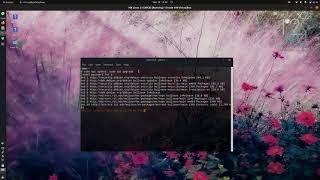 Noobs Lab: MX Linux: How to update OS from Terminal
