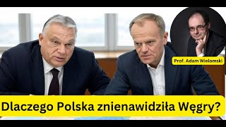 Dlaczego Polska znienawidziła Węgry? Komentarz politologiczny - prof. Adam Wielomski