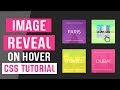 Image Reveal On Hover CSS | CSS Image Effects | CSS Tutorials