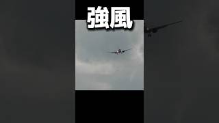 強風アプローチ🌬️😳　#JAL #日本航空　#出雲空港  #縁結び　#出雲大社　#landing  #planespotting  #shorts