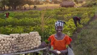 Livelihood Empowerment Against Poverty Program (LEAP) in Ghana