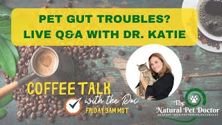 Cat & Dog Gut Health Problems - Q&A with Dr. Katie Woodley - Holistic Veterinarian