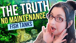 Self Sustaining Ecosystem in Your Aquarium  🐠 No Maintenance Fish Tanks