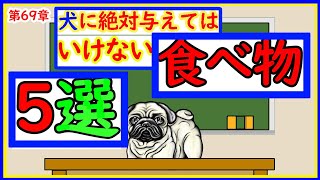 【注意】犬に絶対与えてはいけない食べ物５選