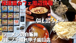 保護猫カフェ森のねこ舎周辺情報行列ができるラーメン店の自販機ハレノチ晴Ramen vending machine and protected cat