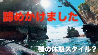 【ロックフィッシュ】諦めかけた釣行の最後に涙が出るほど嬉しい魚が釣れる