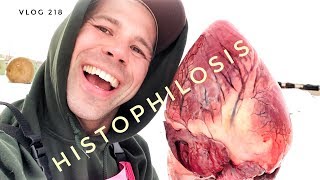 HISTOPHILOSIS vlog 218