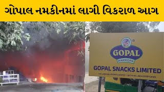 Rajkot : ગોપાલ નમકીનમાં આગ ક્યાં કારણથી લાગી છે તે દિશામાં તપાસ શરૂ  | MantavyaNews