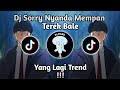 dj Sorry Nyanda Mempan Terek Bale||Yang Lagi Trend!||Lagi Viral Di Tik tok