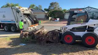 Garbage truck VS a massive piles of bulk greens (City of Wanneroo bulk greens part 1/2)