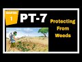 Class-8th Chapter-1 PT-7(Protecting From Weeds) #Study with Shivi#👍✨️🌺