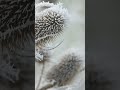 cold spell in the uk winter frost