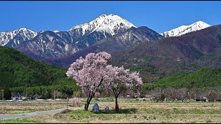 美しき信州の四季・4K