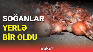 Goranboyda qəza: soğanlar yerə dağıldı